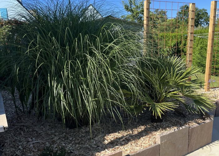 Création et aménagement de jardin